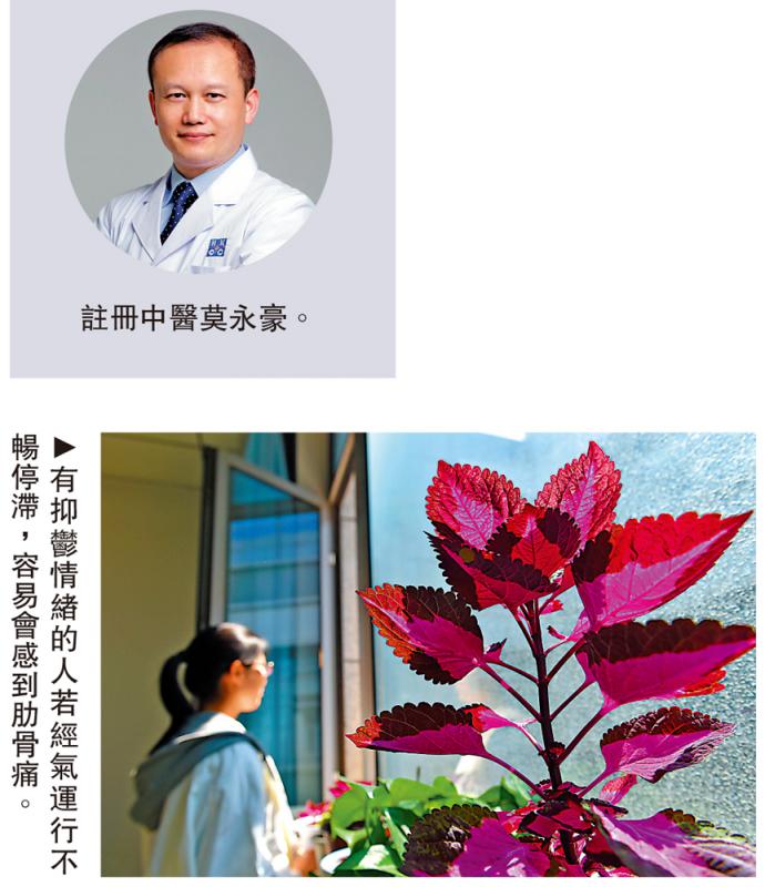 ﻿中医．生活/长期穿戴内衣 易致女性肋骨痛