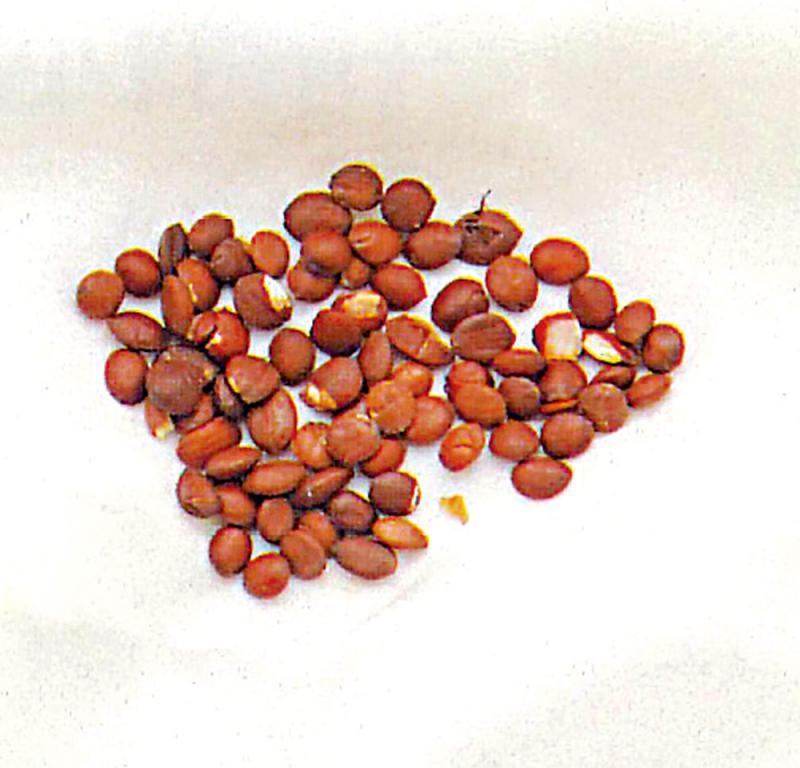 ﻿药食同源/酸枣仁安神养肝