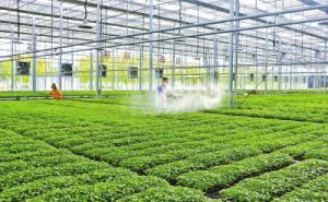 “中原农谷”瞄准世界前沿 打造创新高地