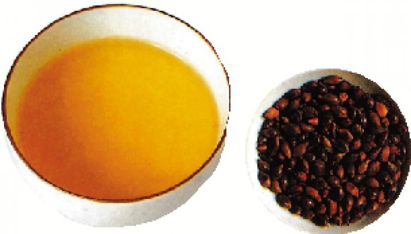 ﻿药食同源/薏仁具美容作用