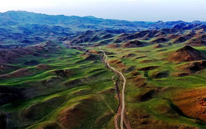 影像博州 | 初夏， 来保加拉克牧场，静听风吟~