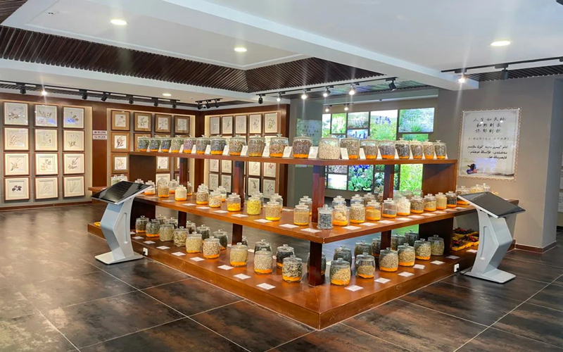 “5．18国际博物馆日”| 新疆不容错过的特色博物馆(上)