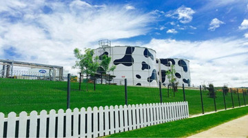 蒙牛乳业更换核数师，毕马威会计师事务所接替安永