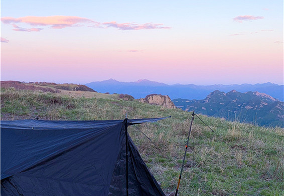 “古道明珠”黄草梁——杜鹃花林与藤萝盘绕