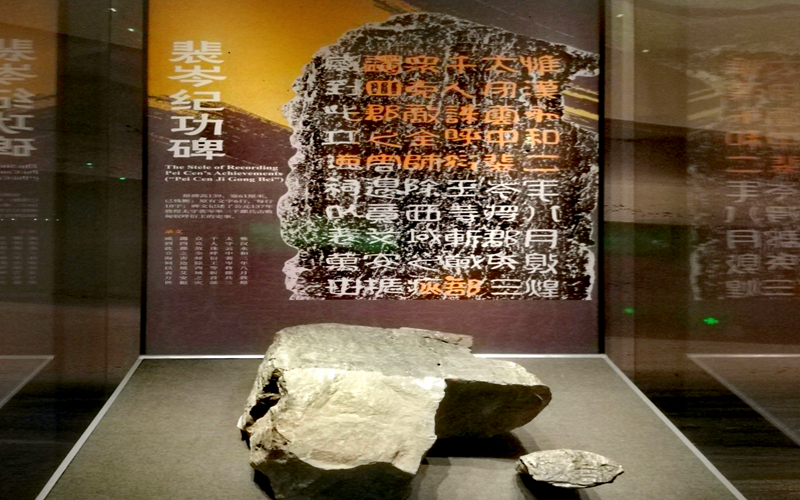 全景解码新疆博物馆丨500件精品文物走出深闺等你识