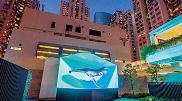 油街艺术空间今开放 推展览庆回归