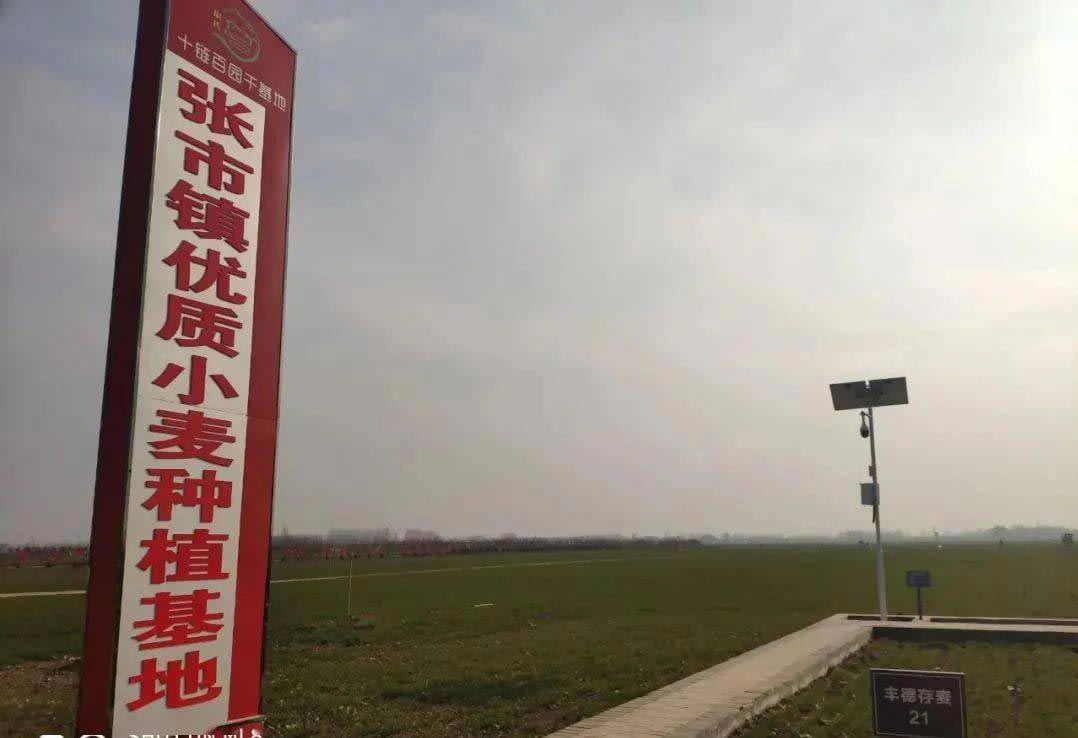 中国移动5G+智慧农业助力开封“聪明田”再夺丰收年