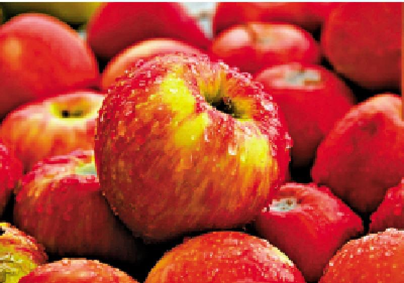 ﻿多管齐下/中医防治鼻敏感