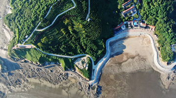 丹东发布有序恢复生产生活秩序通知