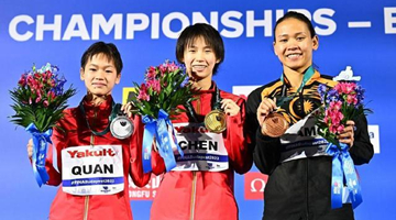 陈芋汐、全红婵包揽女子十米台金银牌