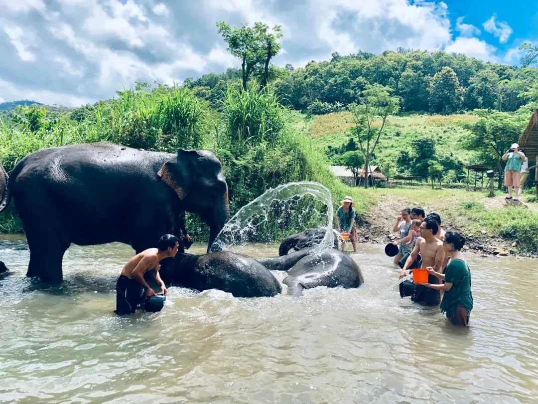 清净不寂寥！小城清迈，为何能受到邓丽君偏爱？