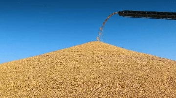 中国大使在俄媒发表署名文章《全球粮食危机的幕后黑手》