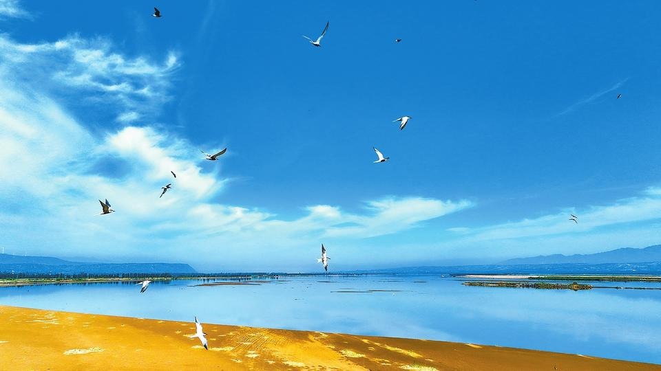 水波潋滟 鸥鹭齐飞