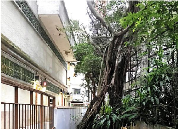 误入“桃花源”──漫游大坑