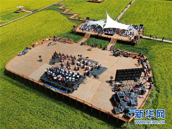 高原油菜花海中奏响交响乐章