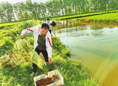 许国胜：“小”龙虾养成“大”产业