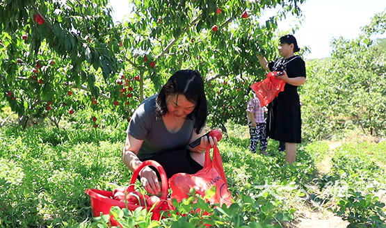 叶县 置顶乡村游  构建半小时生活圈