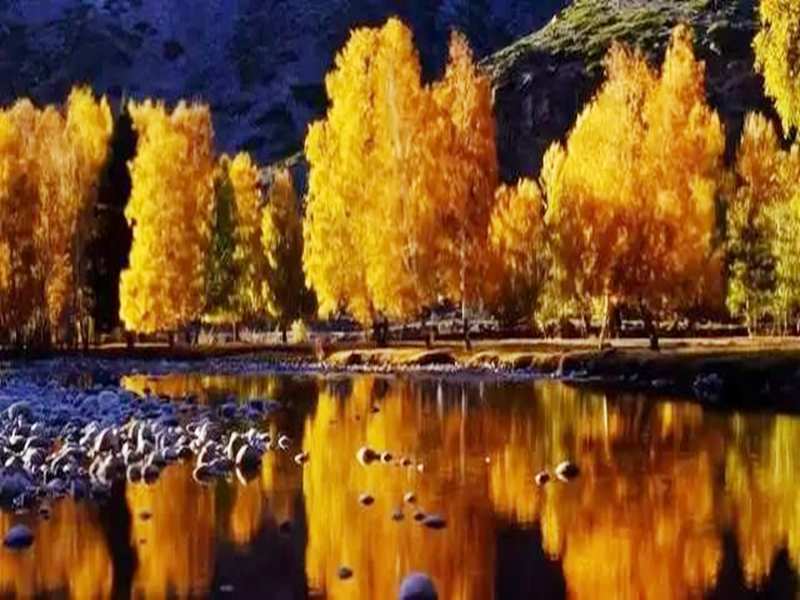  听，可可托海的歌