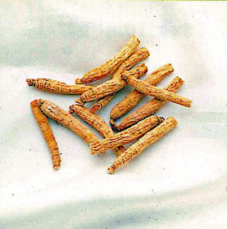 ﻿药食同源/花旗参生津止渴