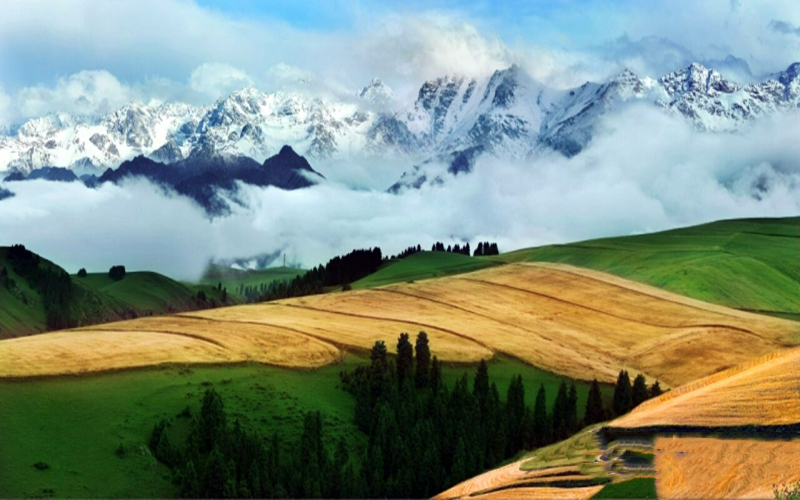 成功创建5A 江布拉克分享“心得”