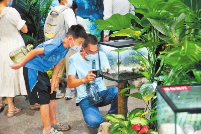 亲近大自然奇妙之旅