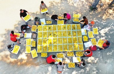 奋战三季度 跑出加速度