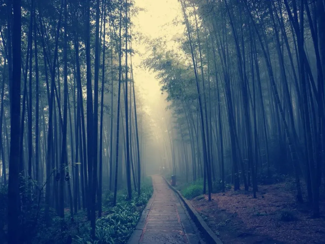 万里长江第一城，这里是最有中国诗意地方之一