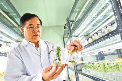 李付广：耕耘三十载 只为一朵花