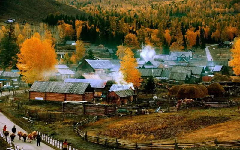 【美丽阿勒泰】此时的白哈巴