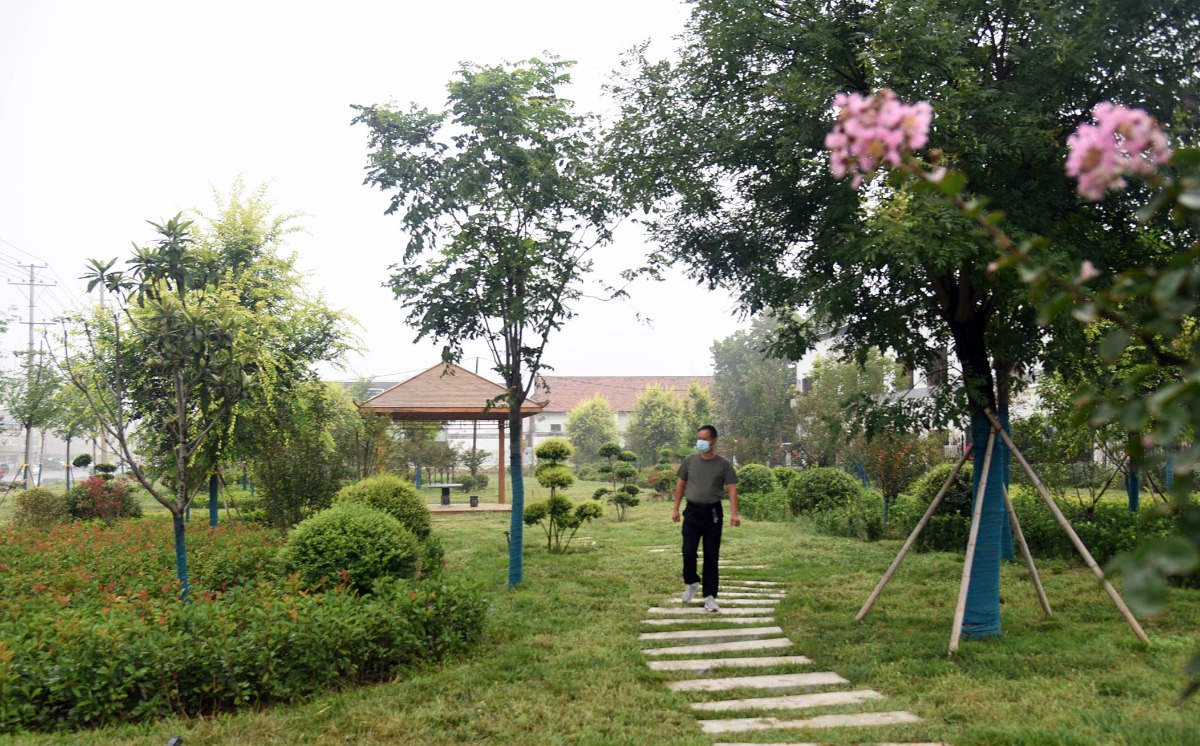 杞县：以“绿”为笔 绘就生态新画卷