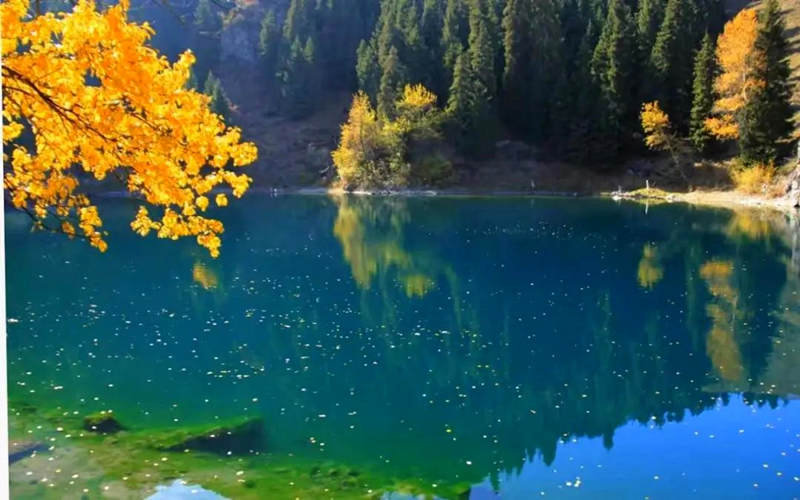 天山天池  人间最美是清秋 