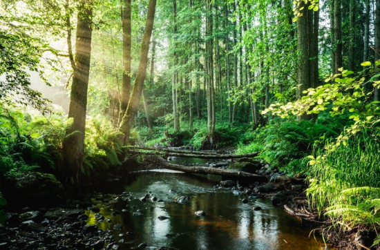 畅游爱沙尼亚六大国家公园 纯粹宁静之旅你值得拥有