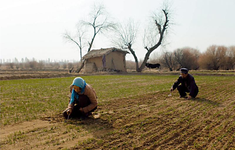 《隐入尘烟》苦难中谱写生命之歌