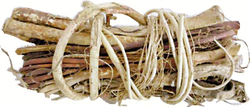 ﻿食疗/五爪龙山药排骨汤