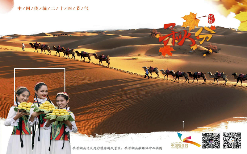 二十四节气之 秋分 | 喀什丰收之美