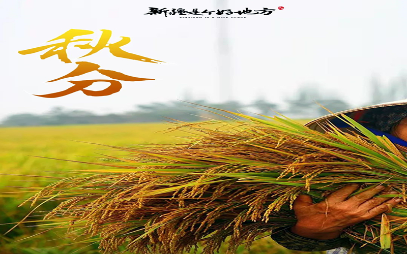 秋色正好，“丰”景如画