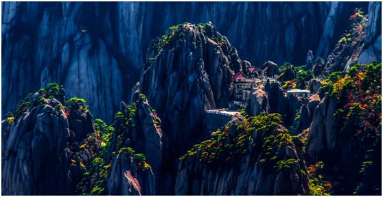 「四季黃山 相約秋天」——來黃山曬出滿滿的幸福