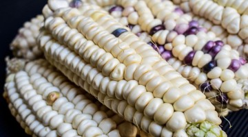 一根玉米卖6元还是7毛？别伤了农民就好