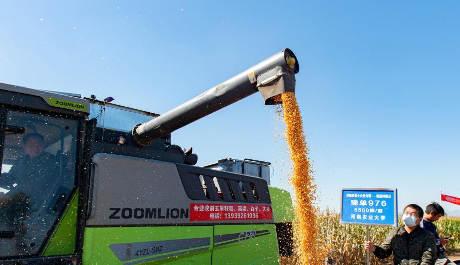 河南籽粒机收玉米新品种选育创佳绩