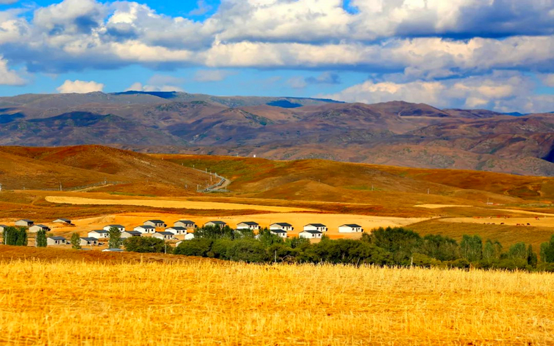 草原秋色，真的是太美了，看一眼沉迷在这里