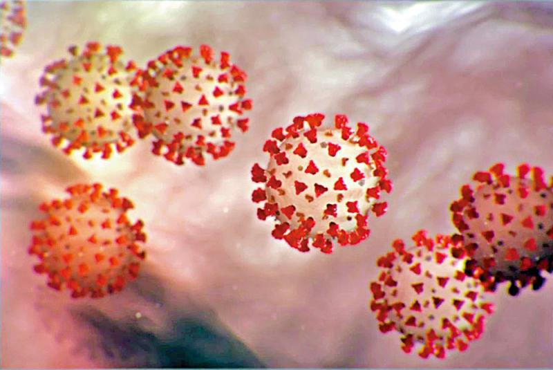 ﻿研究发现/新冠病毒或直接影响心脏DNA