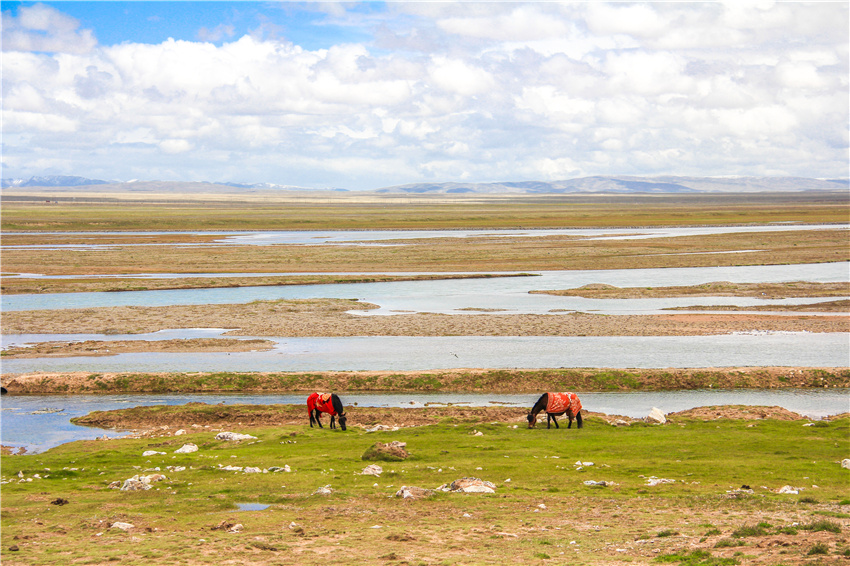 三江源：大自然的赐予 生物的天堂