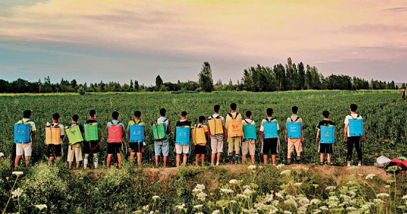 《我们这十年》 关注普通人奋斗