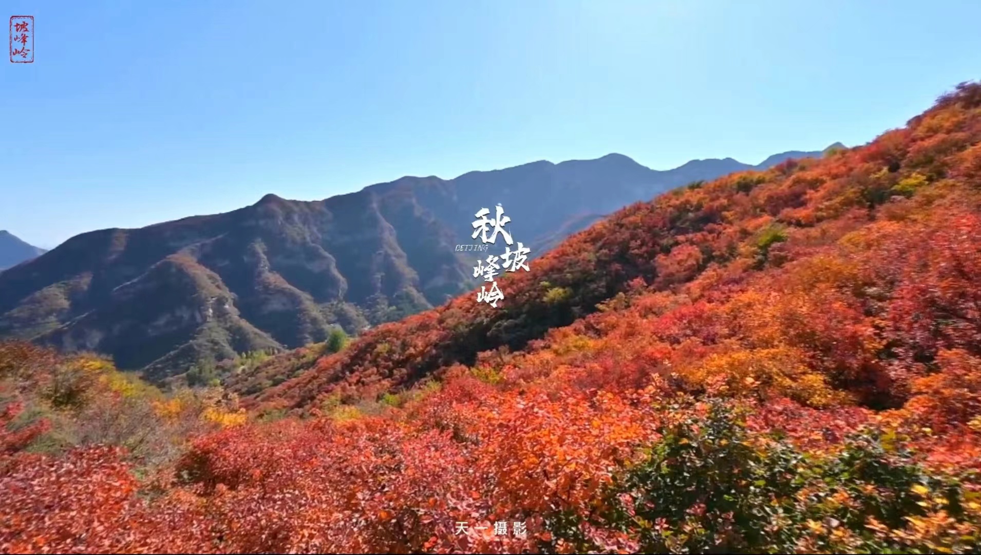 金秋北京 看万山红遍 层林尽染