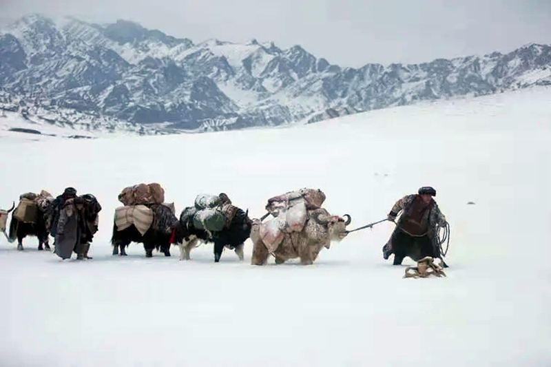 新疆3部作品入选！第十六届精神文明建设“五个一工程”入选作品公示