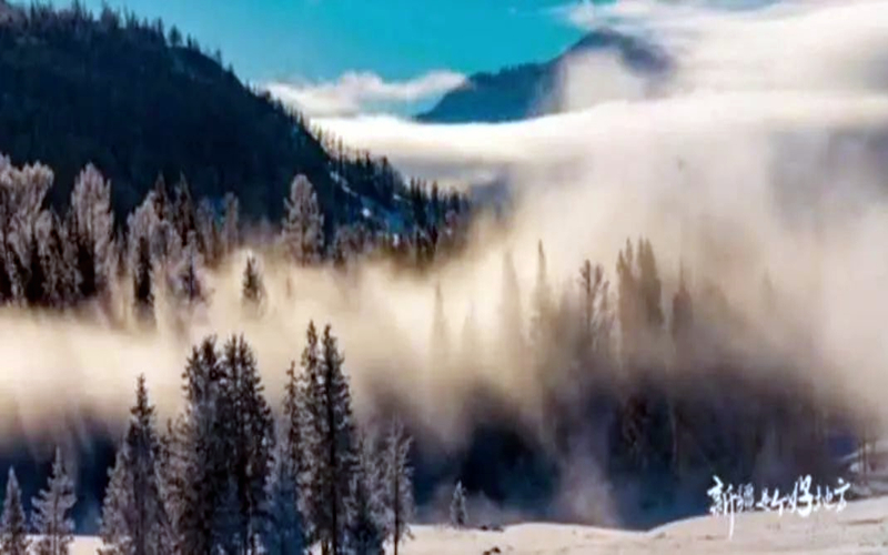 “新疆是个好地方”优秀纪录片线上展：《我在新疆等你》