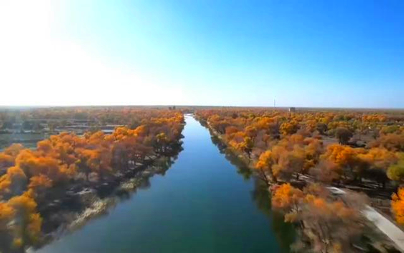 如诗如画！巴楚红海景区秋日美“出圈”