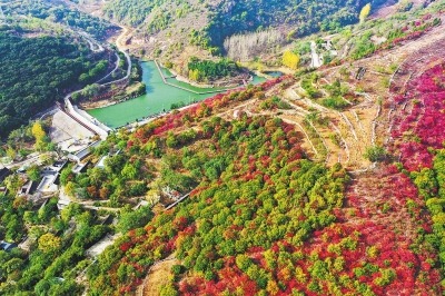 河南打造各具特色的“富春山居图”