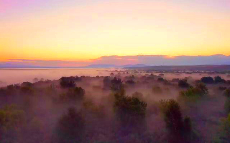 这么美的景色，又是昭苏！