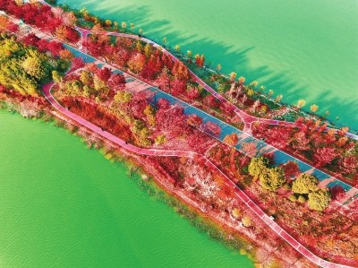 层林尽染 风景如画